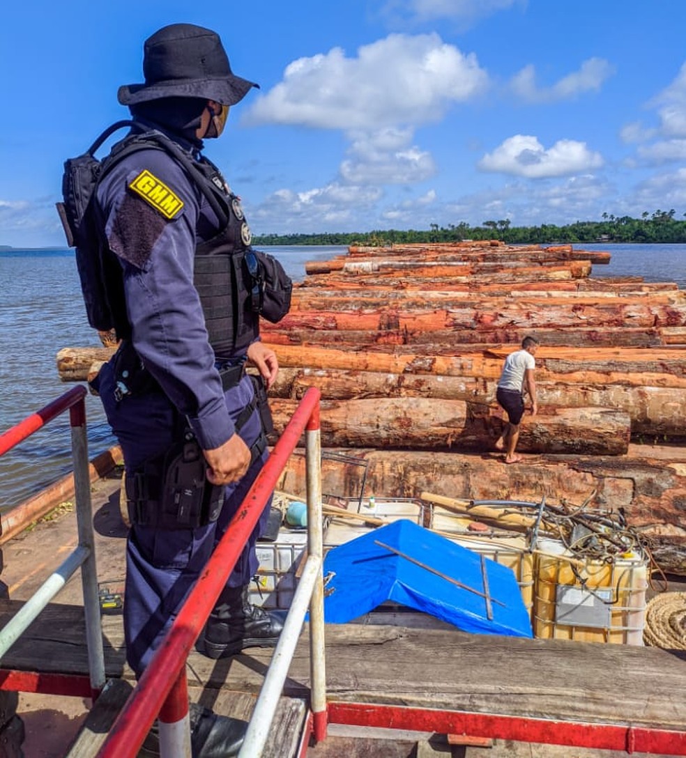 load-of-suspected-illegal-wood-logs-in-Manua-Brazil
